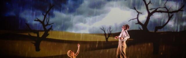 Rasprodata premijera pozoriŠnog spektakla "Mali princ"