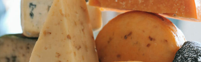 Najskuplji sir na svetu, manastirski sirevi i 40 izlagača: Šta nam donosi Balkan Cheese Festival?