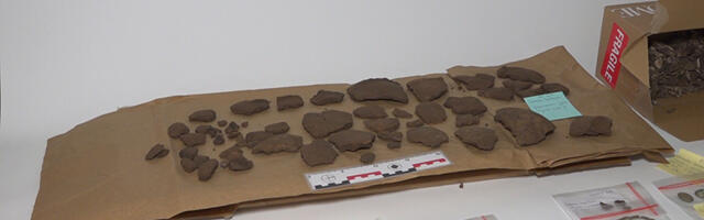 Urna iz bronzanog doba otkrivena u Seništima (VIDEO)