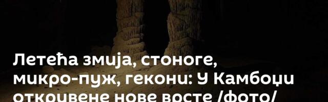 Летећа змија, стоноге, микро-пуж, гекони: У Камбоџи откривене нове врсте /фото/
