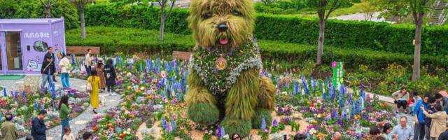 Cvetni pas atrakcija u Šangaju: Štene visoko 5 metara privlači hiljade posetilaca - niko ne veruje u šta gleda (FOTO)