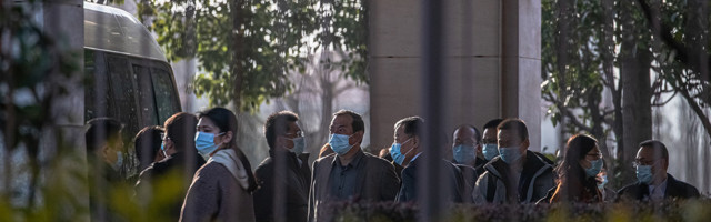 Kriva je neka životinja