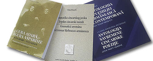Cincari: Podvig statističke greške