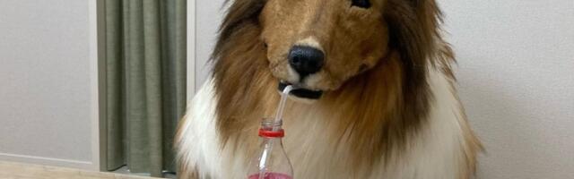 Čovek koji se pretvorio u škotskog ovčara najavljuje drastičnu promenu u životu