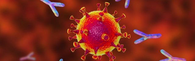 Ovo vam se neće svideti:  Antitela prilično brzo padaju nakon koronavirusa