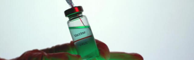 ​Мајмунске богиње: преклиничка испитивања вакцине биће завршена до краја године