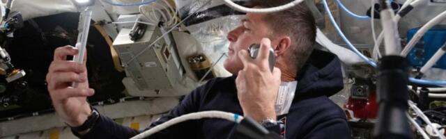 VANVREMENSKI! SIVA, ZELENA I SMEĐA: Astronauti misije Artemis II otkrili koje boje vide na MESECU! (VIDEO)