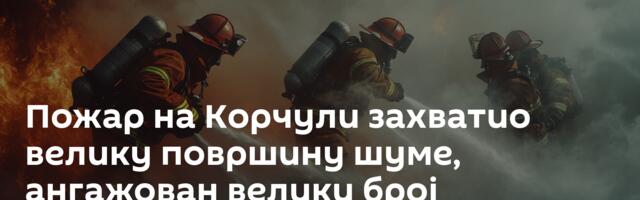 Пожар на Корчули захватио велику површину шуме, ангажован велики број ватрогасаца