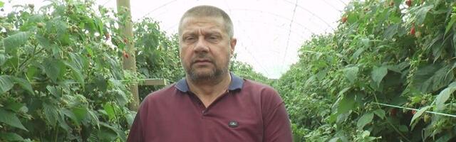 Мали хладњачари дугују паре малинарима, прете банкроти
