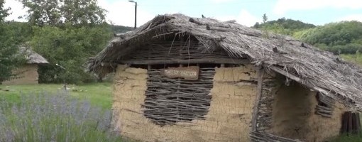 Pločnik kod Prokuplja: Pronađeni skeletni ostaci psa stari najmanje 6.500 godina