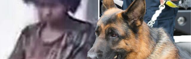 Drama na jugu! Milice (25) iz Merošina nema 5 dana: Digla se Žandarmerija i pas tragač, češljaju svaki deo