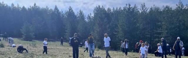 Radna akcija škola života! Volonteri na dva hektara, pušumili Šljivovicu, evo šta su posadili
