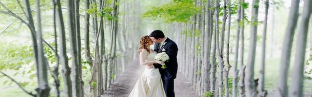 PRVI ČOVEK DRŽAVE DONEO JE ODLUKU! Mogu i venčanja, ali evo kako!