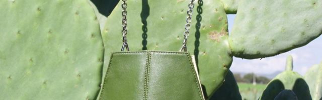 Novi trend – eko koža od kaktusa