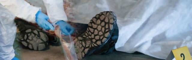 HOROR U CENTRU BEOGRADA! Mladić (30) skočio sa devetog sprata nakon što mu je devojka umrla pred očima!