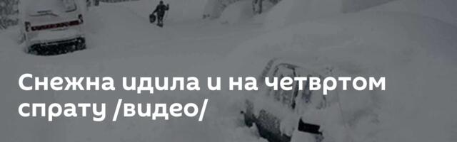 Снежна идила и на четвртом спрату /видео/