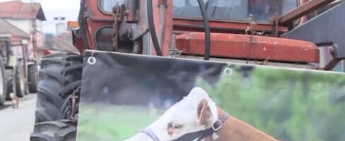 Proizvođači mleka obustavili 24-časovne blokade Ibarske magistrale kod Kraljeva