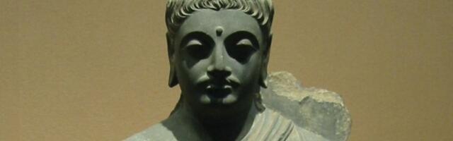 Kako reagovati na izdaju: Budin savet koji vraća moć i čuva dostojanstvo