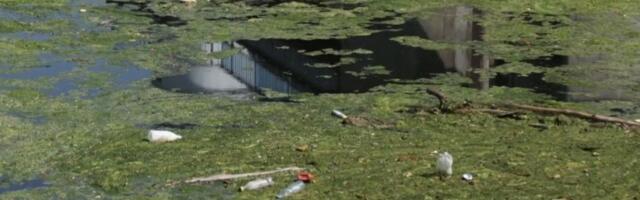 Jezero Parmenac, odakle se vodom snabdeva i Čačak, puno algi i smeća