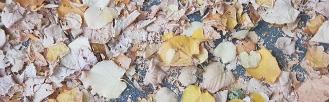 Kada nas očekuje zahlađenje sa kišom i snegom?