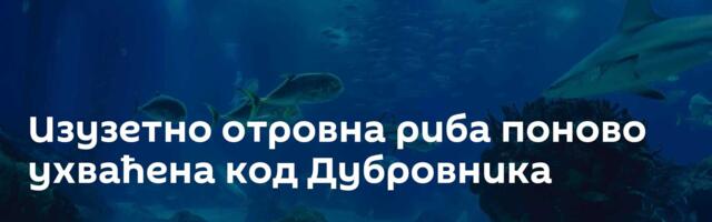 Изузетно отровна риба поново ухваћена код Дубровника