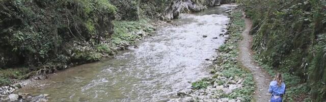Čista voda, plaže i netaknuta priroda! Ovo je jedna od 2 najčistije reke u Srbiji! Na njoj nikad nije dosadno