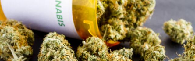 Nemačka je prva evropska država u kojoj će marihuana biti skroz legalna