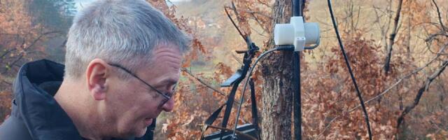 Ekološki ustanak pita: Ko štiti nelegalnu gradnju u šumi Stepin lug