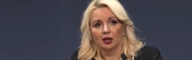 Ljubodrag Stojadinović: Večera sa idiotom