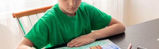 Osnovac nacrtao harmoniku, a jedan HIT DETALJ mogu da shvate samo BALKANCI (FOTO)