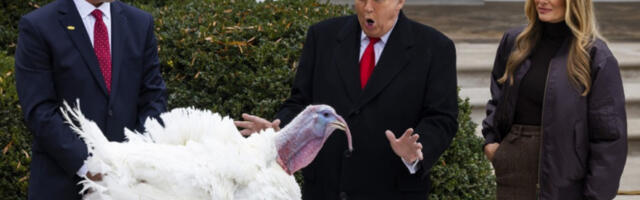 Ћурке преживеле, Трамп им смислио нова имена