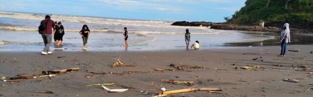 More izbacilo na obalu stvorenje iz doba DINOSAURUSA: Meštani se pošteno ISPREPADALI, samo ga pogledajte!