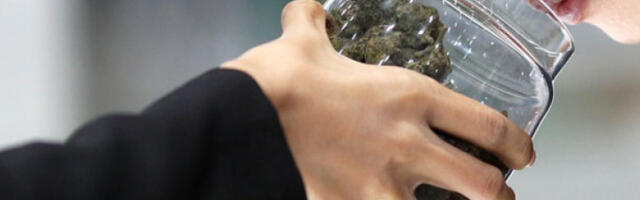 Трамп разматра ублажавање савезних ограничења употребе марихуане