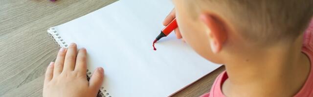 Jedan osnovac nacrtao harmoniku, ali ovaj detalj niko nije očekivao: Učiteljica hitno obavestila roditelje (FOTO)