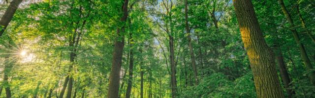 Evo kakvo nas vreme čeka do početka naredne nedelje: Ovo je najava koja će vam se svideti