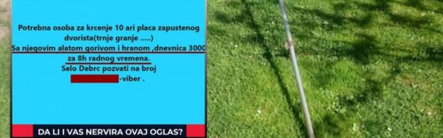 OGLAS NIKAD JAČE NALJUTIO SRBE! Daje 3.000 dinara ako mu učinite uslugu, a traži i vaše gorivo, hranu, alat - ovo nikome nije smešno