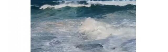 TALASI VISOKI 5,5 METARA UDARALI O OBALU SIDNEJA: "Ovo je zastrašujuće - nisam video ništa slično za 50 godina" (VIDEO)