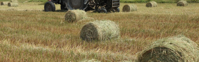 Евростат: Потрошња енергије у пољопривреди и шумарству у ЕУ смањена за 1,1 одсто