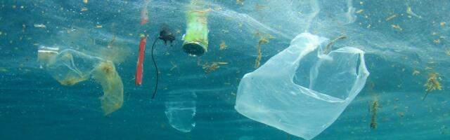 Naučnici upozoravaju: Masovno uklanjanje plastike može uništiti osnovu lanca ishrane u okeanu