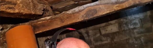 Domaćin Sloba pekao rakiju, nije ni slutio KO ga vreba između starih greda kuće: Sve uhvaćeno na SNIMKU
