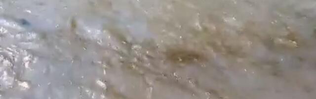 Novi “ekološki incident” u Novom Pazaru – Motorno ulje teče rijekom Raškom (Video)