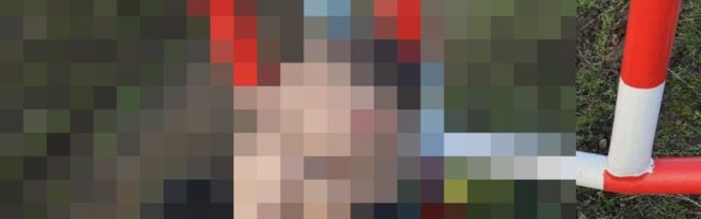 IDENTITY OF BOXER SUSPECTED OF BRUTAL MURDER REVEALED: Details of horrific torture on farm near Vrbas