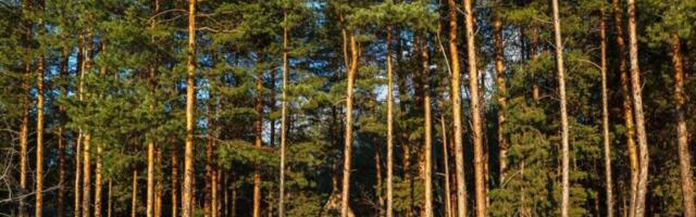 Proglašeno zaštićeno područje Specijalni rezervat prirode „Bosutske šume“