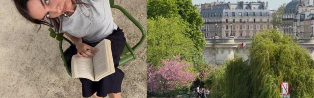 Zelene stolice su praktično simbol Pariza – a evo i zbog čega