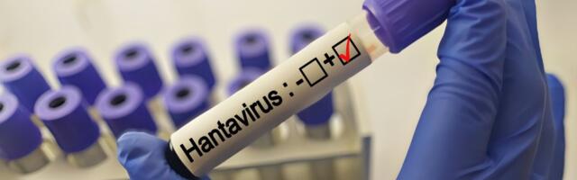 Radi se na vakcini protiv hantavirusa: Trenutno nema leka, evo kada će biti dostupan