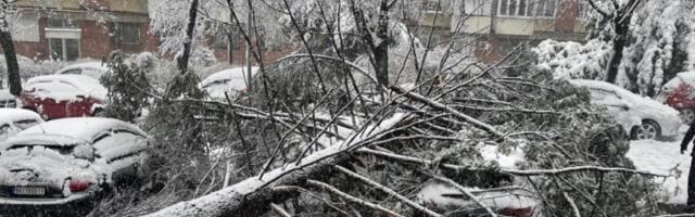 Sposobnost odabira nesposobnih