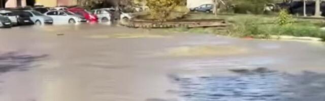 Ogromna HAVARIJA u Novom Sadu: Voda se izlila na ulicu (VIDEO, FOTO)