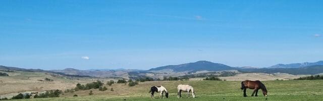 I dalje nestabilno ali toplije vreme