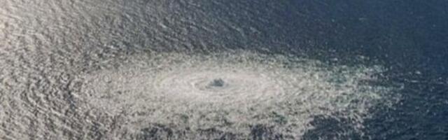 Osumnjičeni za sabotažu gasovoda Severni tok biće izručen Nemačkoj: Vrhovni sud Italije doneo odluku