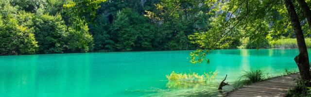 Snežni ples preslatkog stanovnika Plitvica: Retka scena zabeležena kamerom
